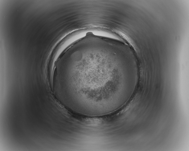 X0000088731023200705311425