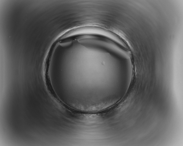 X0000088731024200705311425