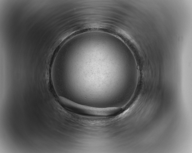 X0000088731025200705311425
