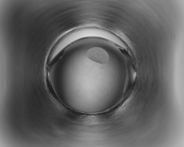 X0000088731028200705311425