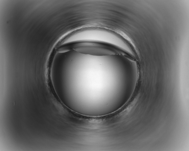 X0000088731029200705311425