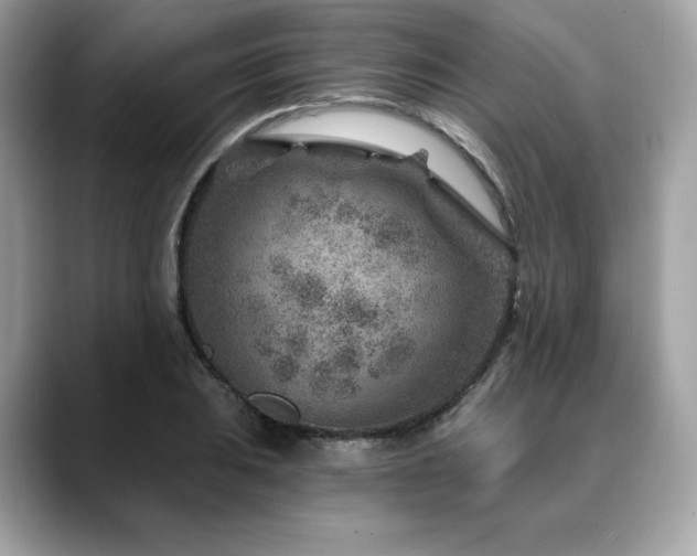X0000088731031200705311425