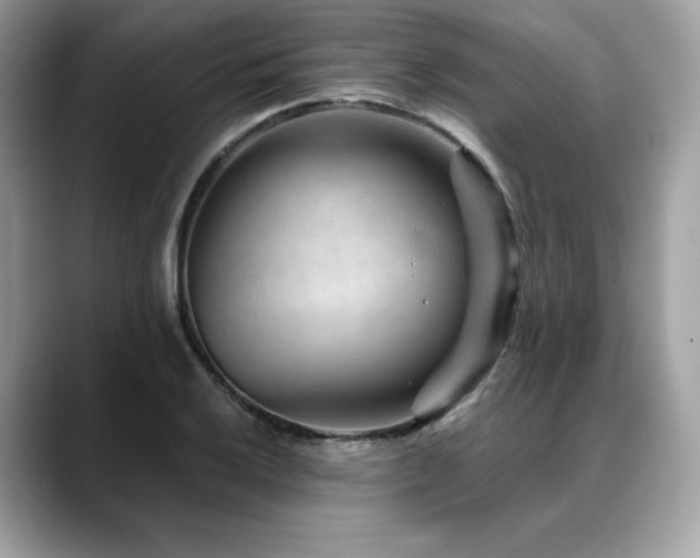 X0000088731032200705311425