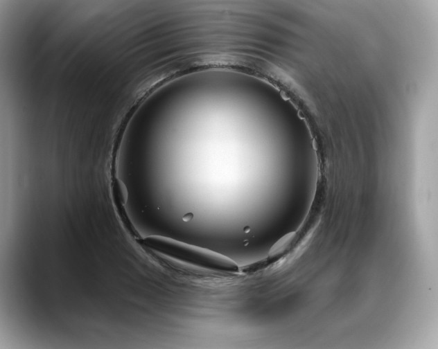 X0000088731033200705311425
