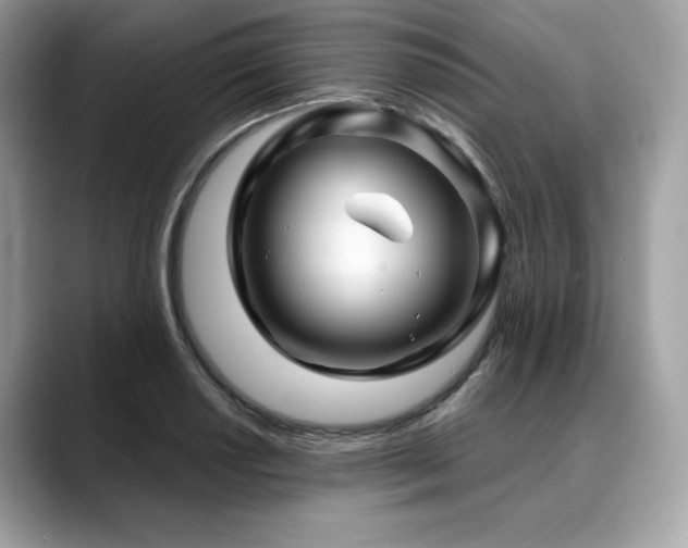 X0000088731034200705311425