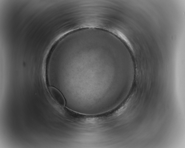 X0000088731035200705311425