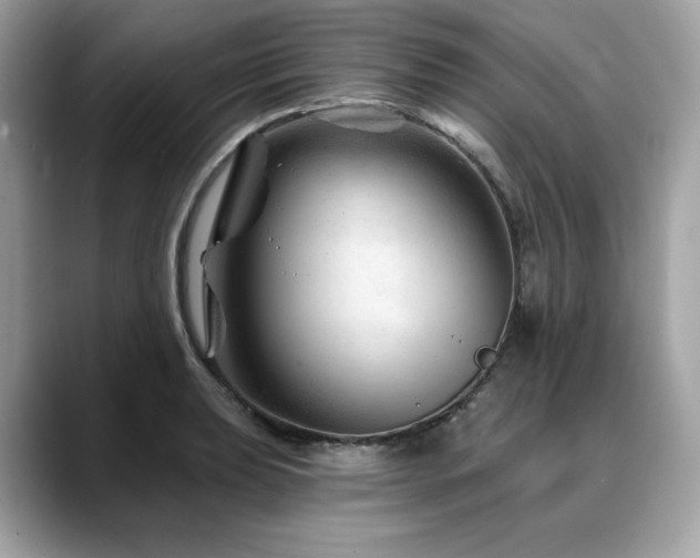 X0000088731039200705311425