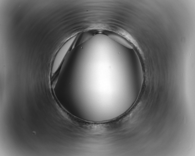 X0000088731041200705311425