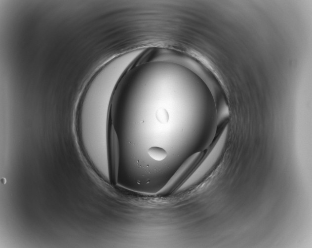 X0000088731042200705311425
