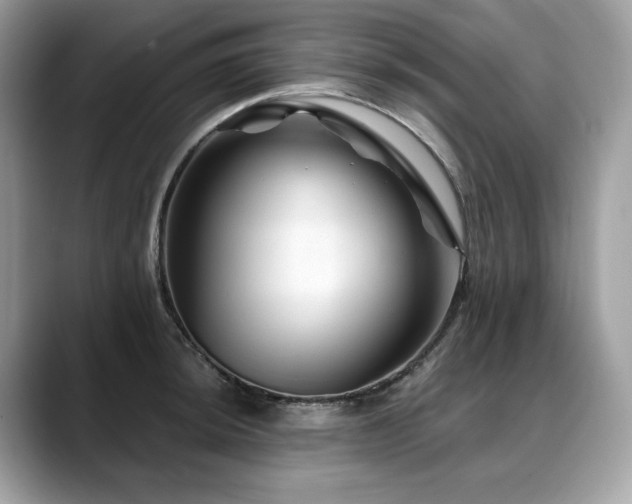 X0000088731044200705311425