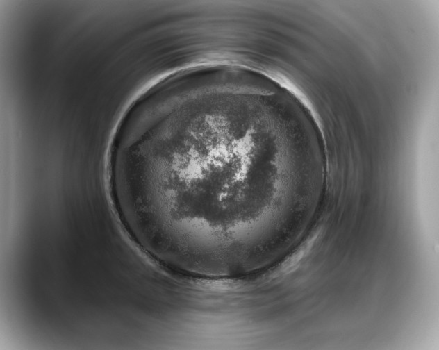 X0000088731045200705311425