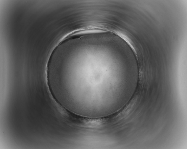 X0000088731047200705311425