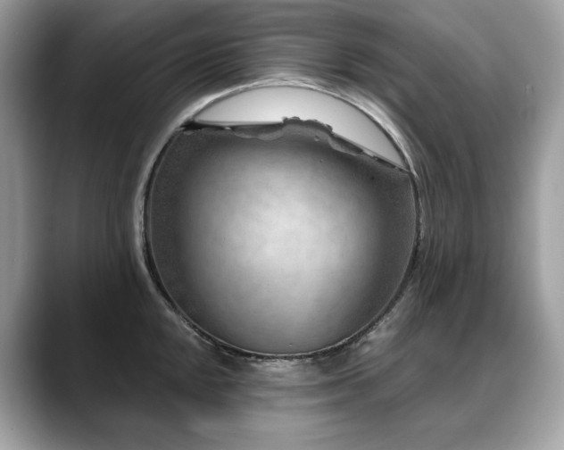 X0000088731048200705311425