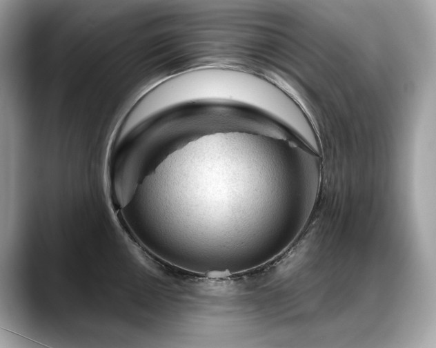X0000088731050200705311425