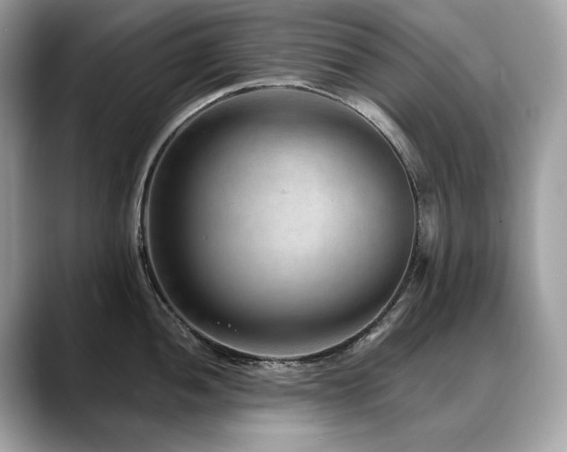 X0000088731052200705311425
