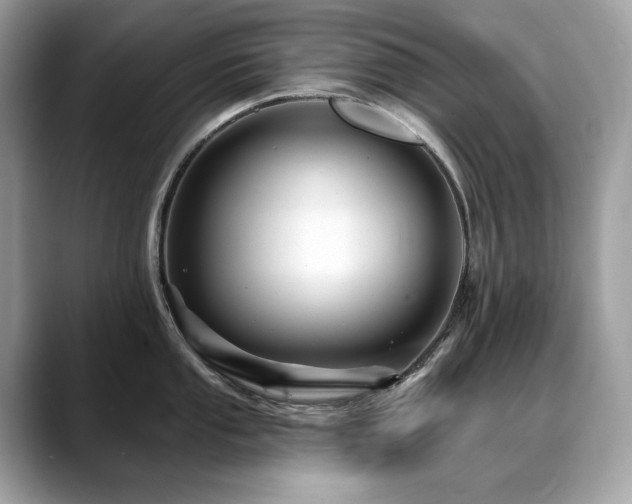 X0000088731053200705311425