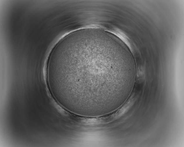 X0000088731054200705311425