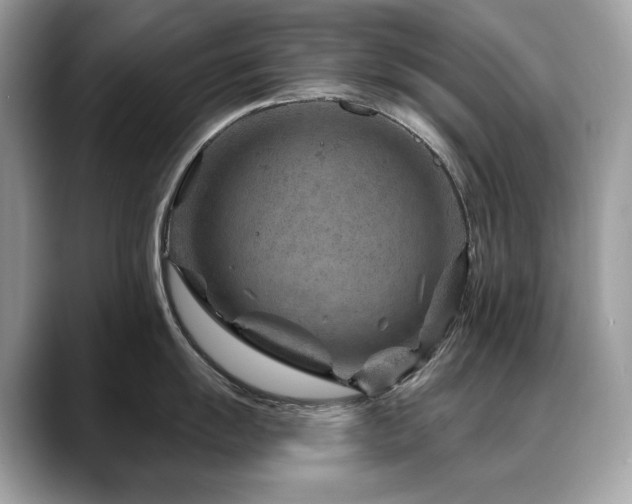 X0000088731055200705311425