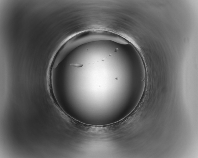 X0000088731056200705311425
