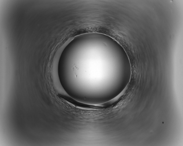 X0000088731057200705311425