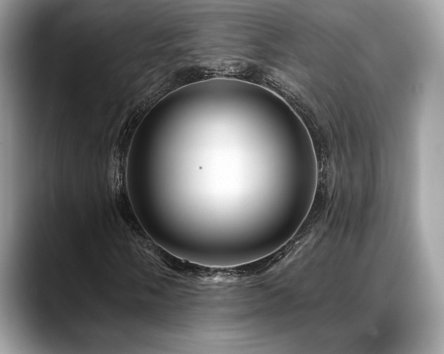 X0000088731058200705311425