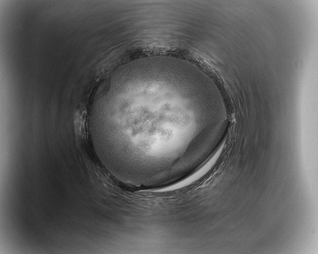 X0000088731059200705311425