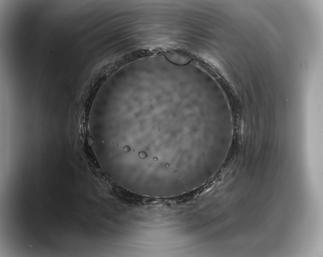 X0000088731063200705311425