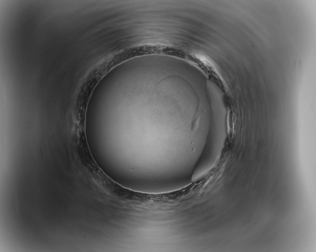 X0000088731064200705311425