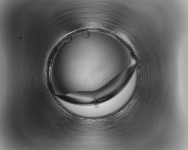 X0000088731068200705311425
