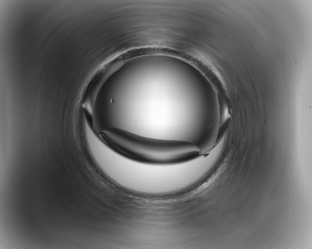 X0000088731069200705311425