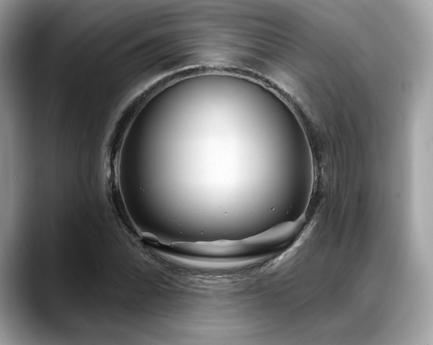X0000088731070200705311425