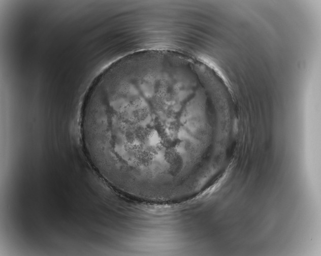 X0000088731071200705311425