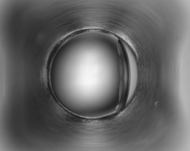 X0000088731072200705311425