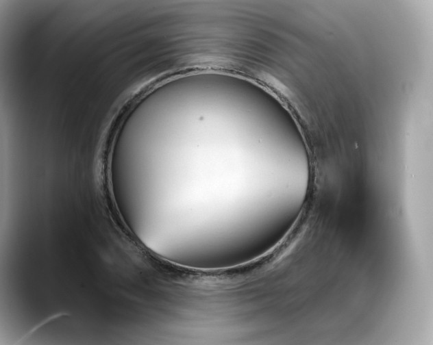 X0000088731074200705311425