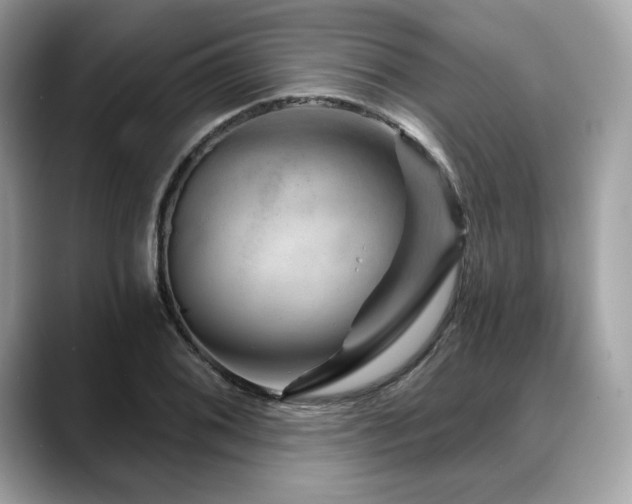 X0000088731076200705311424