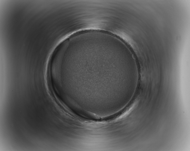 X0000088731077200705311424