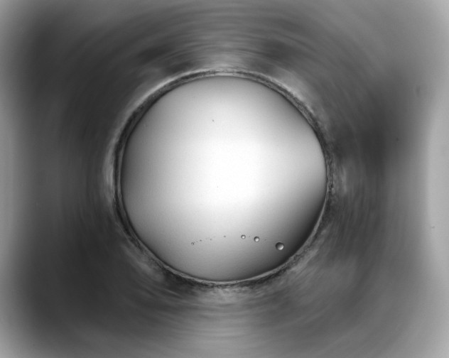 X0000088731078200705311424