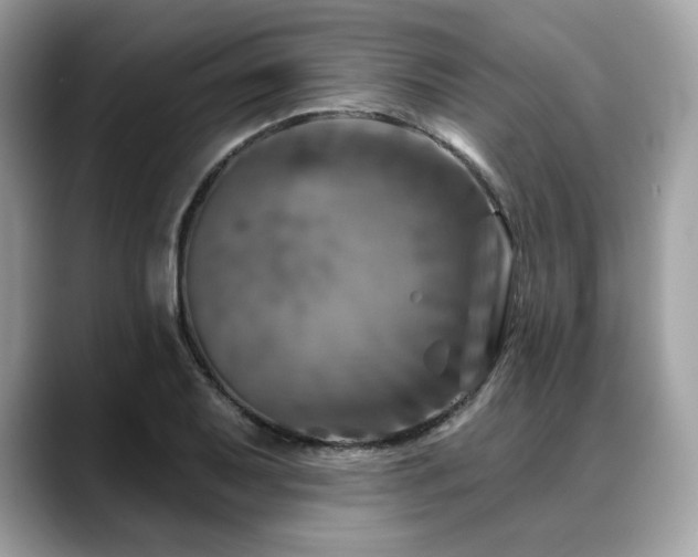 X0000088731079200705311424