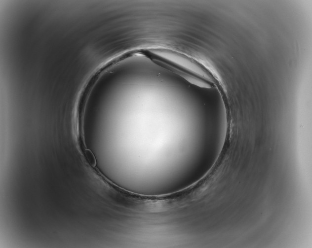 X0000088731080200705311424