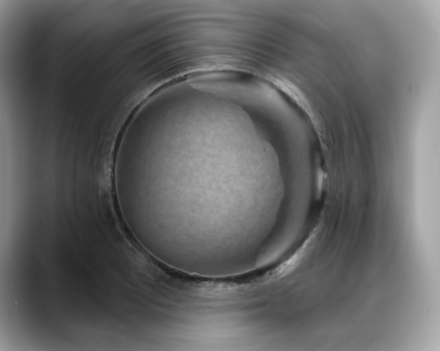X0000088731081200705311424