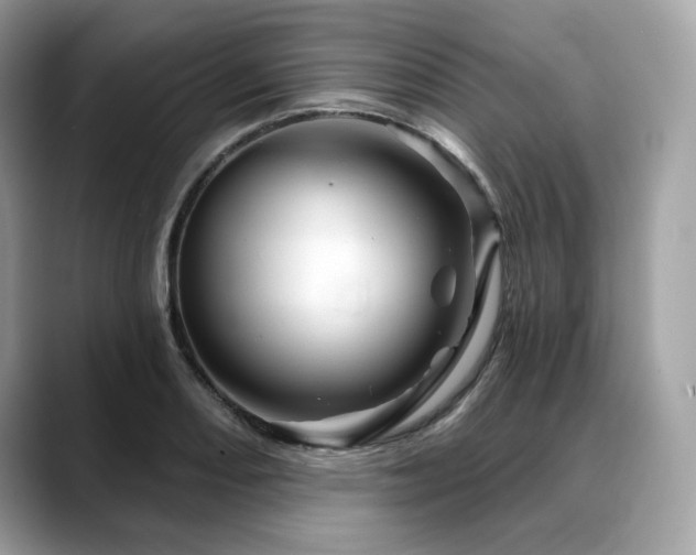 X0000088731082200705311424