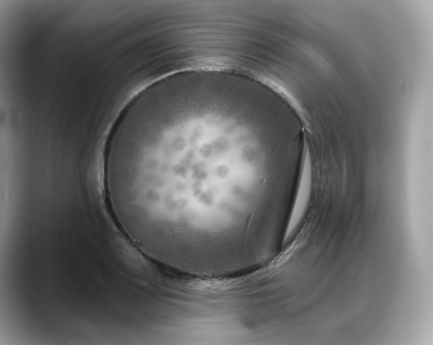X0000088731083200705311424
