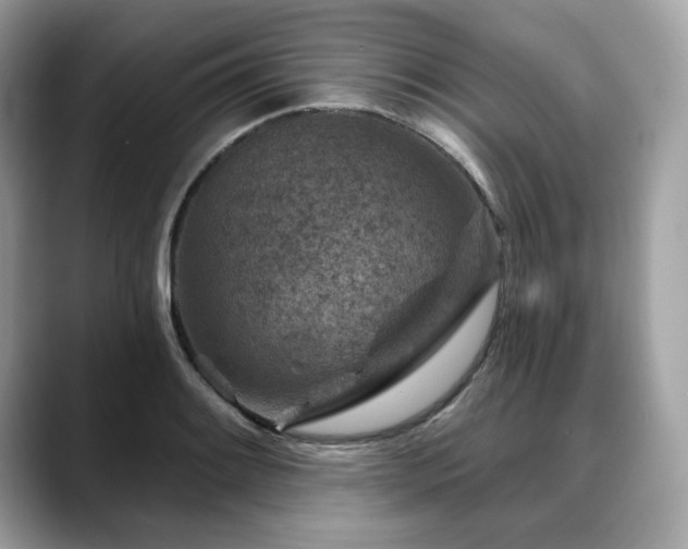 X0000088731084200705311424