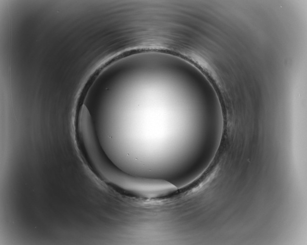 X0000088731085200705311424