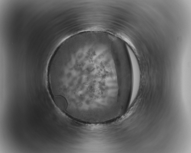 X0000088731087200705311424