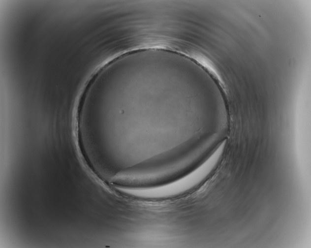 X0000088731088200705311424