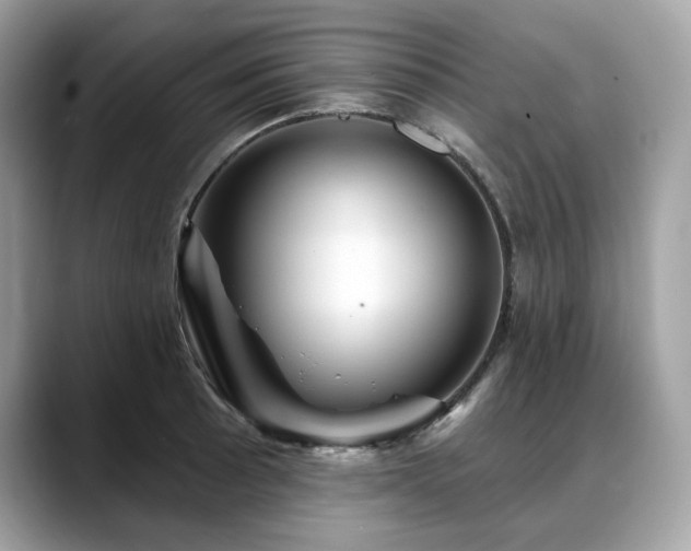 X0000088731089200705311424