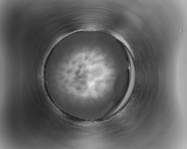 X0000088731091200705311424