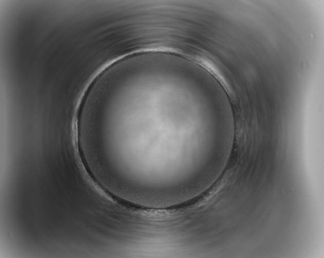 X0000088731092200705311424