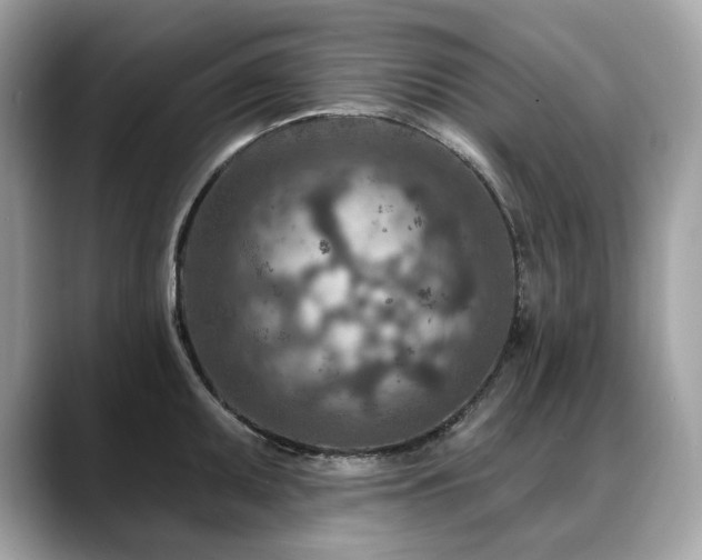 X0000088731095200705311424